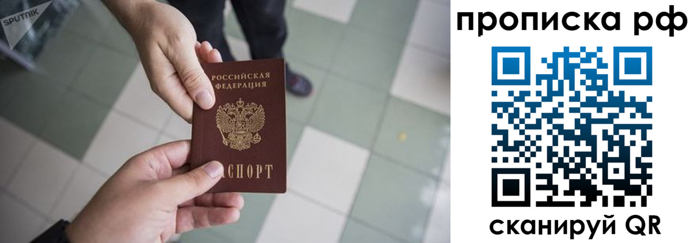 прописка гарантия в Кореновске